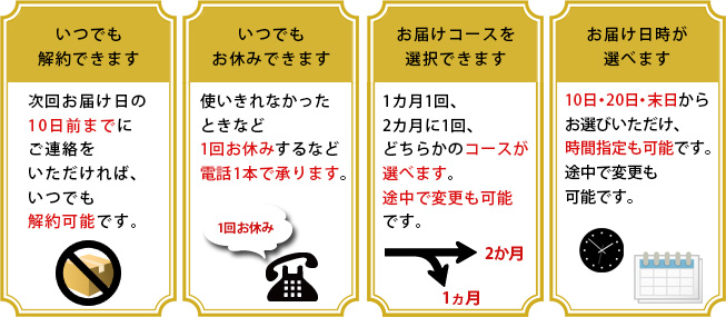 定期購入 美顔器ならebis化粧品